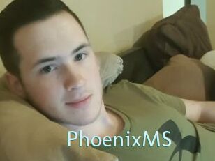 PhoenixMS