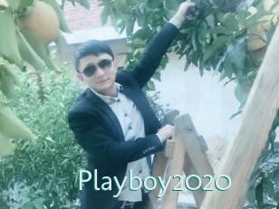 Playboy2020