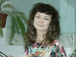 Pachifox