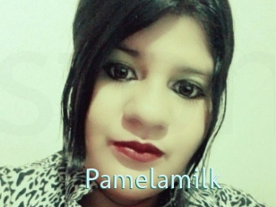 pamelasuite Straponles