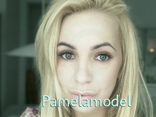 Pamelamodel