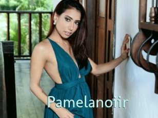 Pamelanoiir