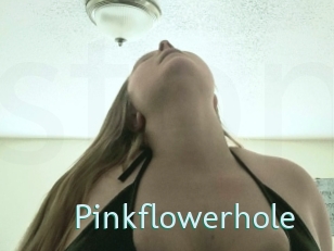 Pinkflowerhole