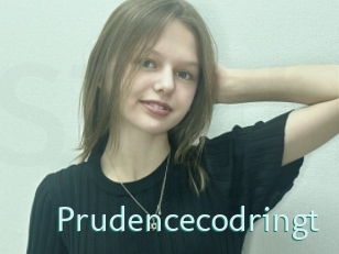 Prudencecodringt