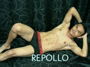 REPOLLO