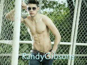 RandyGibsons