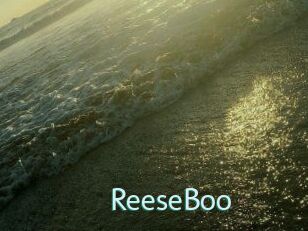 ReeseBoo