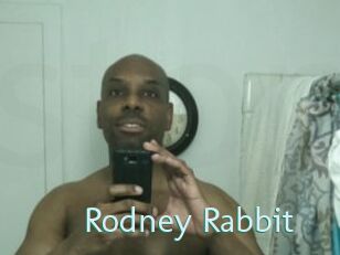 Rodney_Rabbit