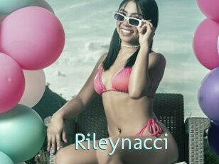 Rileynacci