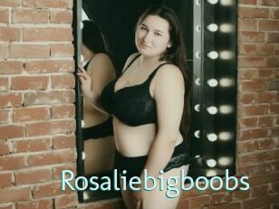 Rosaliebigboobs