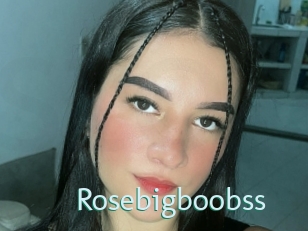 Rosebigboobss