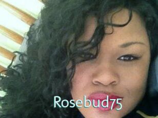 Rosebud75