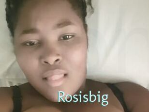 Rosisbig