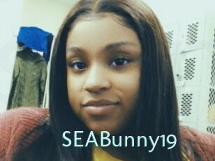 SEABunny19