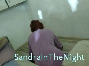 SandraInTheNight