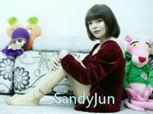 SandyJun