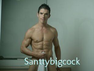 Santtybigcock