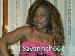 Savannah66