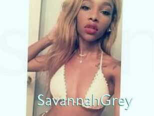 Savannah_Grey