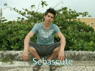 Sebascute