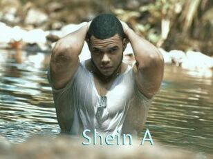 Shein_A