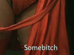 Somebitch