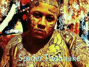 SpiderTheSnake