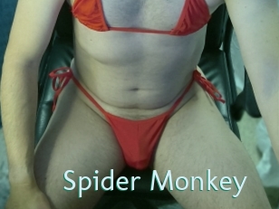 Spider_Monkey