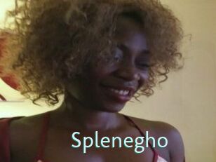 Splenegho