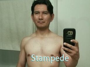 Stampede