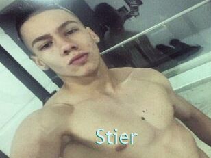 Stier