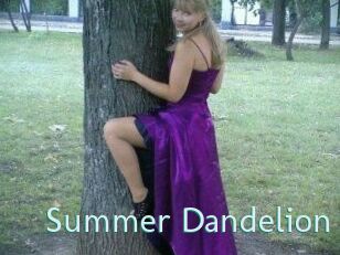 Summer_Dandelion