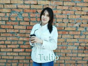 Tulip