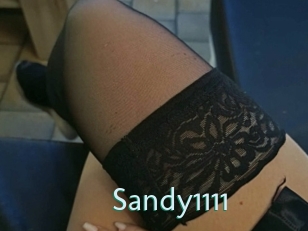 Sandy1111