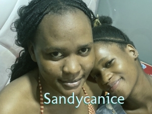 Sandycanice