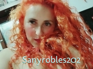 Sanyrobles202