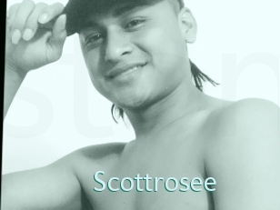 Scottrosee