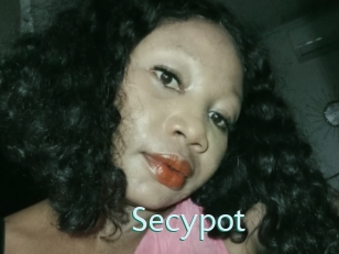 Secypot