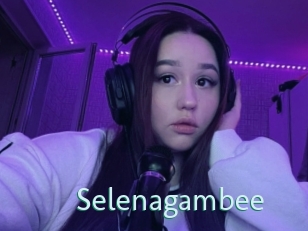 Selenagambee