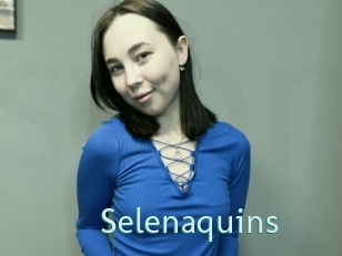 Selenaquins