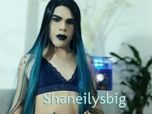 Shaneilysbig