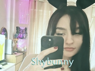 Shybunny