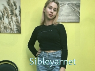 Sibleyarnet