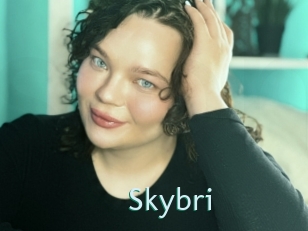Skybri