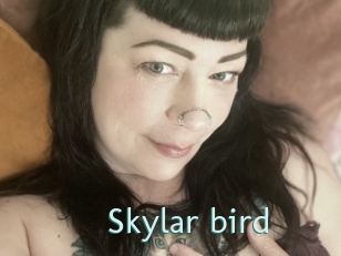 Skylar_bird