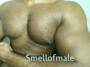 Smellofmale