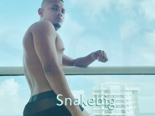 Snakebig