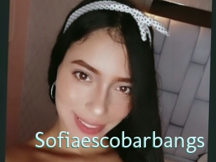 Sofiaescobarbangs