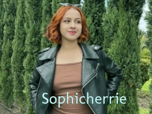 Sophicherrie