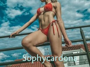 Sophycardona